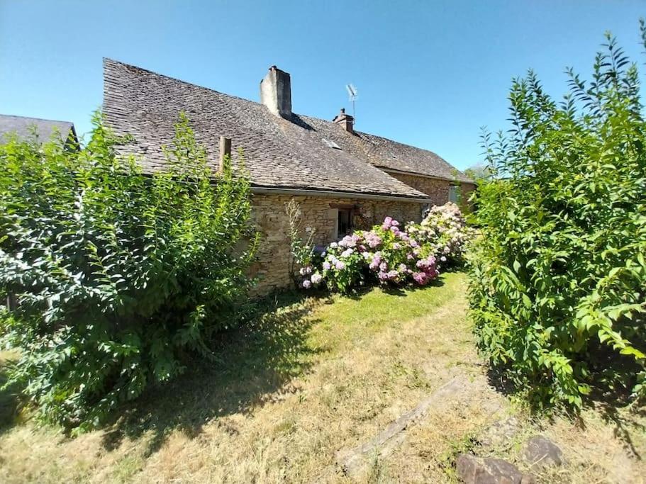 Maison En Pierres Pradinas Luaran gambar